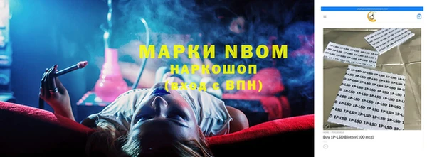 гидропоника Алзамай