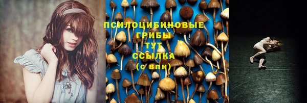 кокаин колумбия Алексин