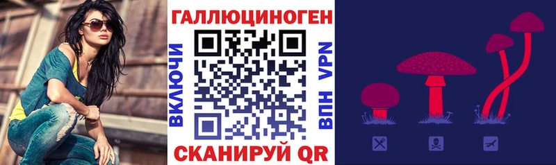 Псилоцибиновые грибы ЛСД гидра рабочий сайт Железногорск